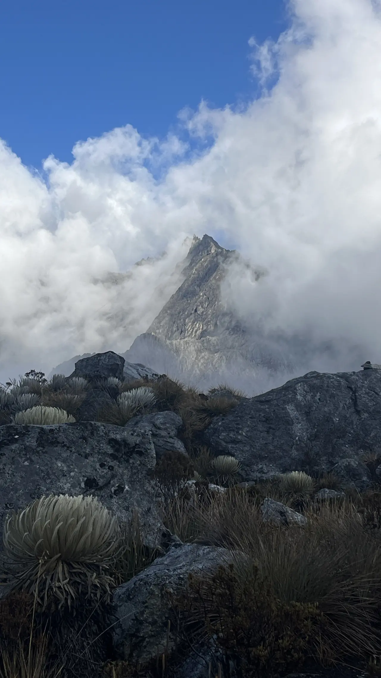 An Andean summit breaking through the clouds